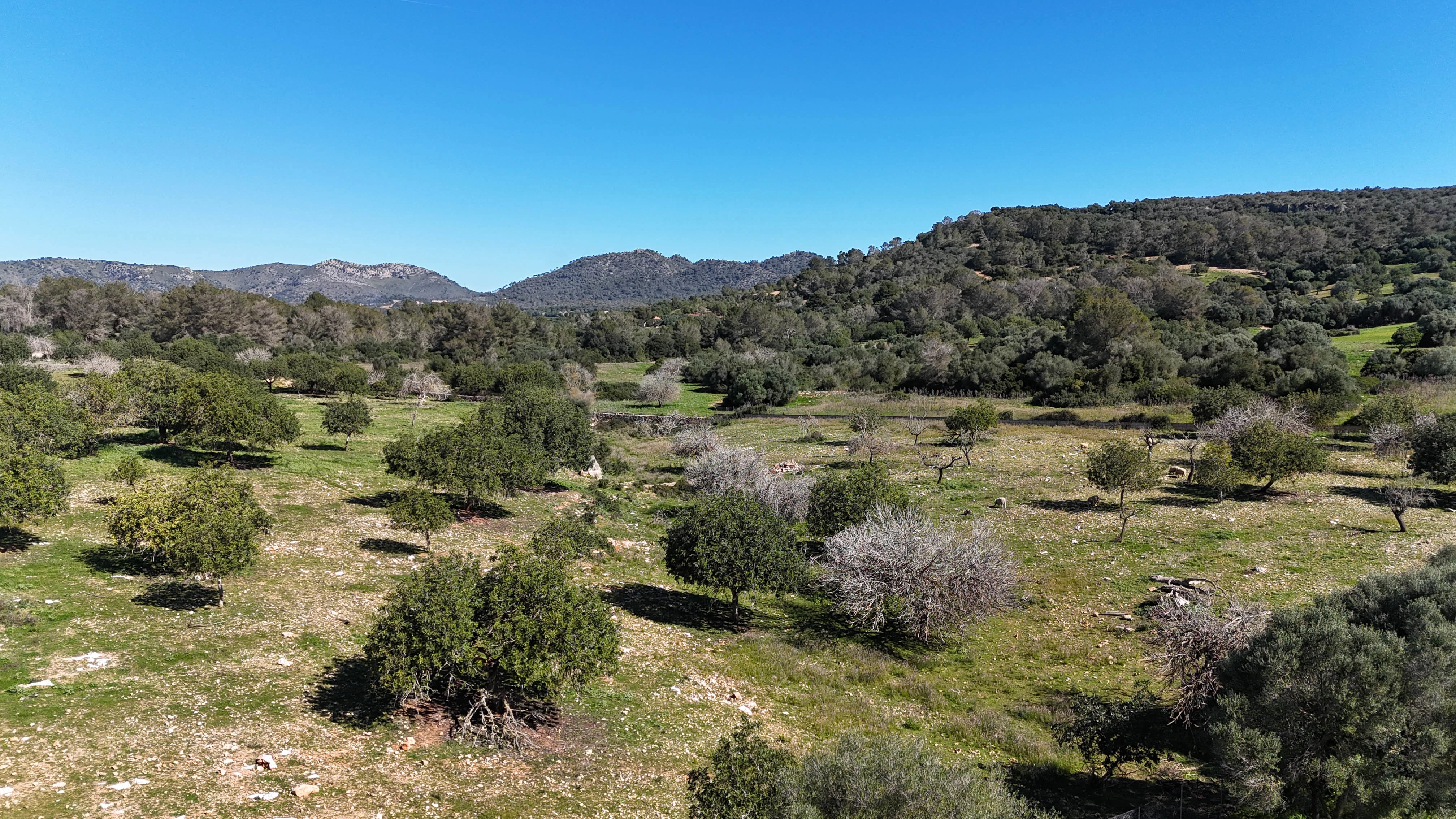 VILLA SON SONYAT - Detalle 19