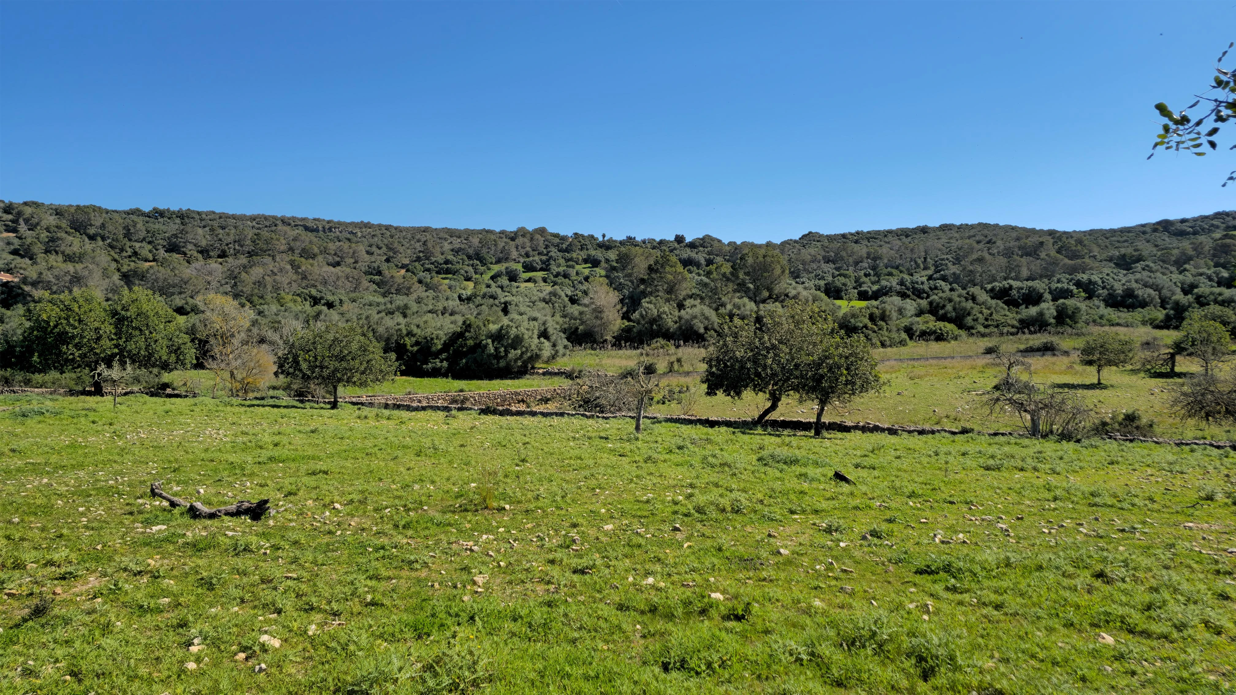 VILLA SON SONYAT - Detalle 20