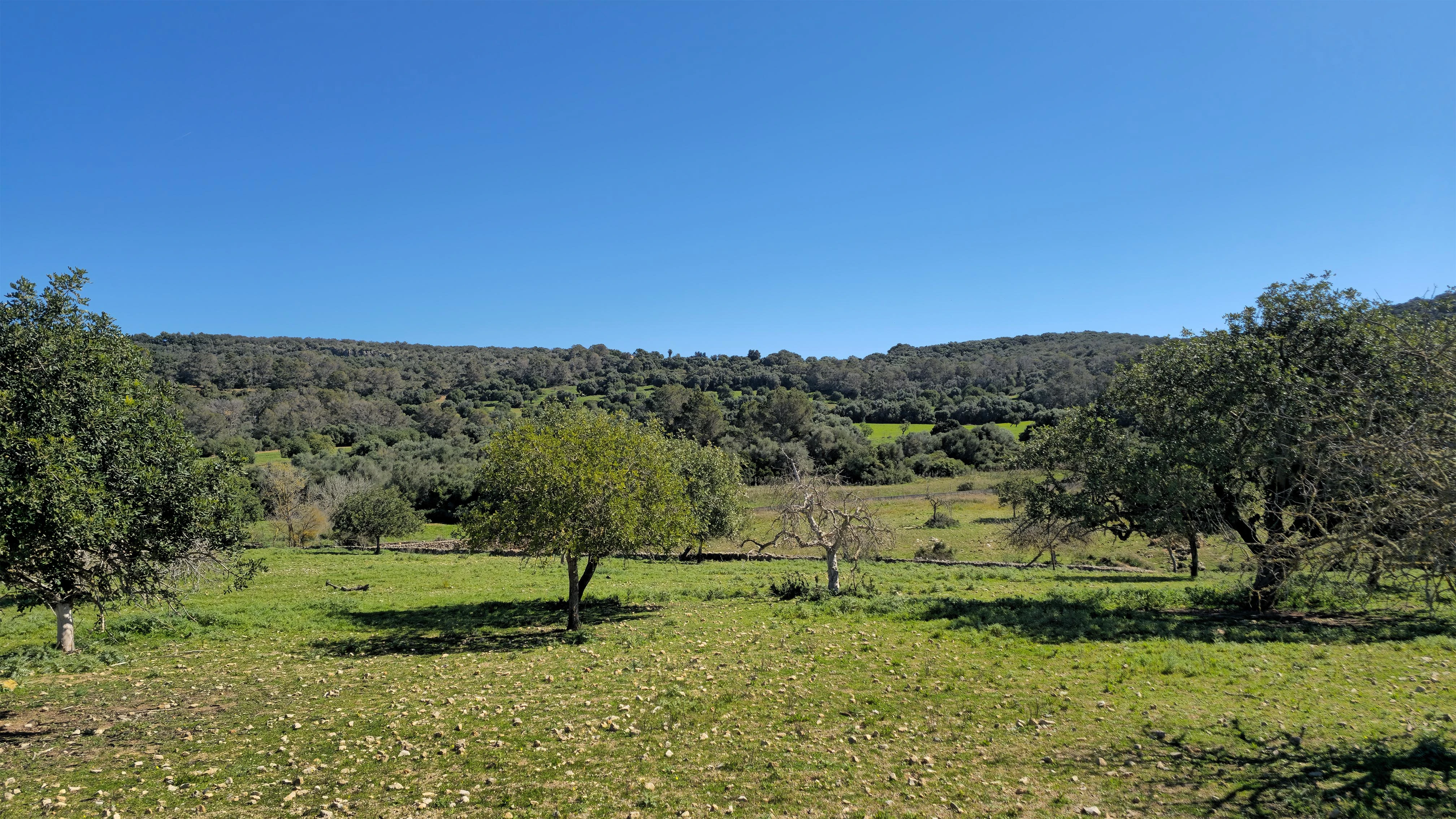 VILLA SON SONYAT - Detalle 21