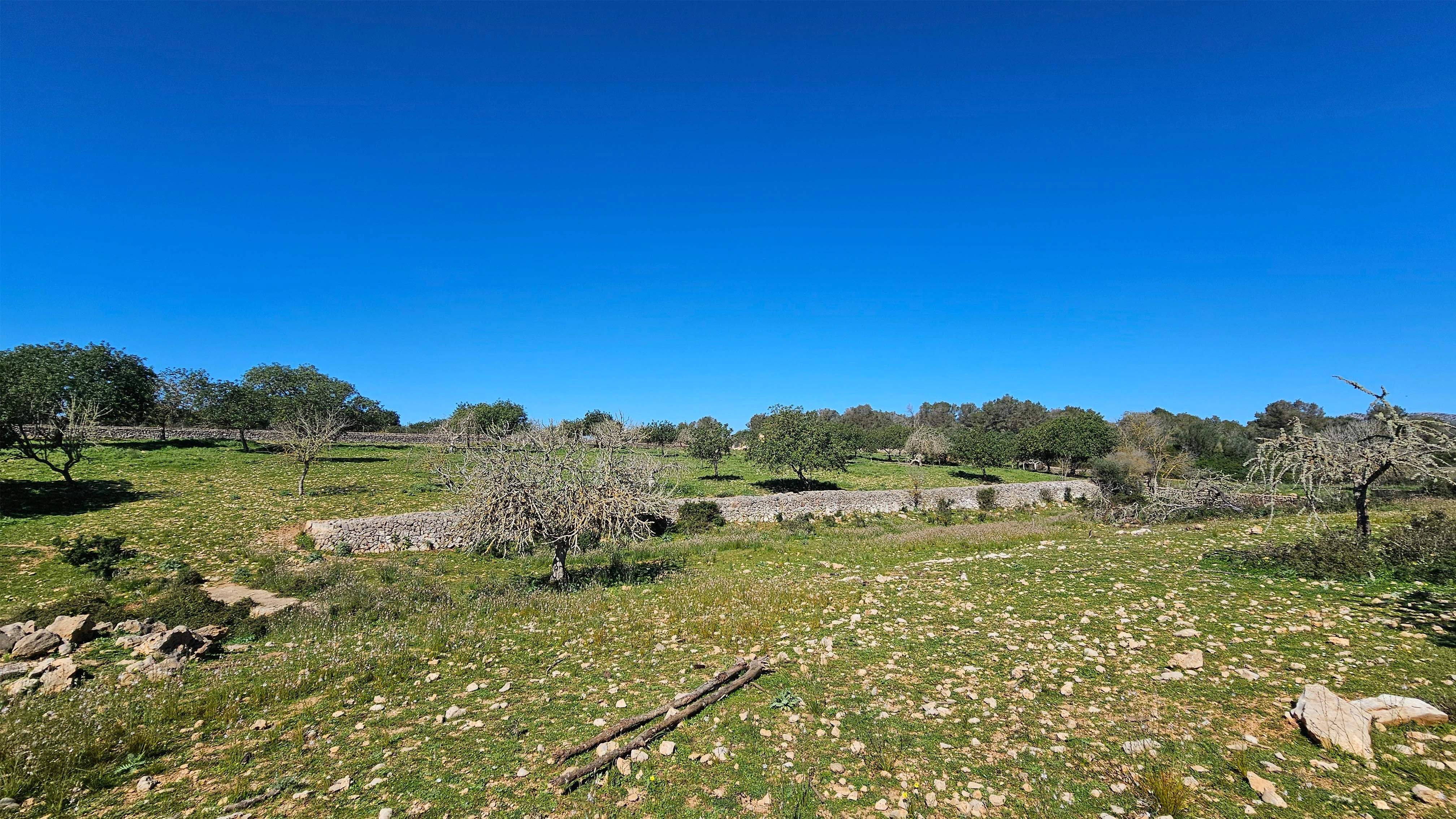 VILLA SON SONYAT - Detalle 22