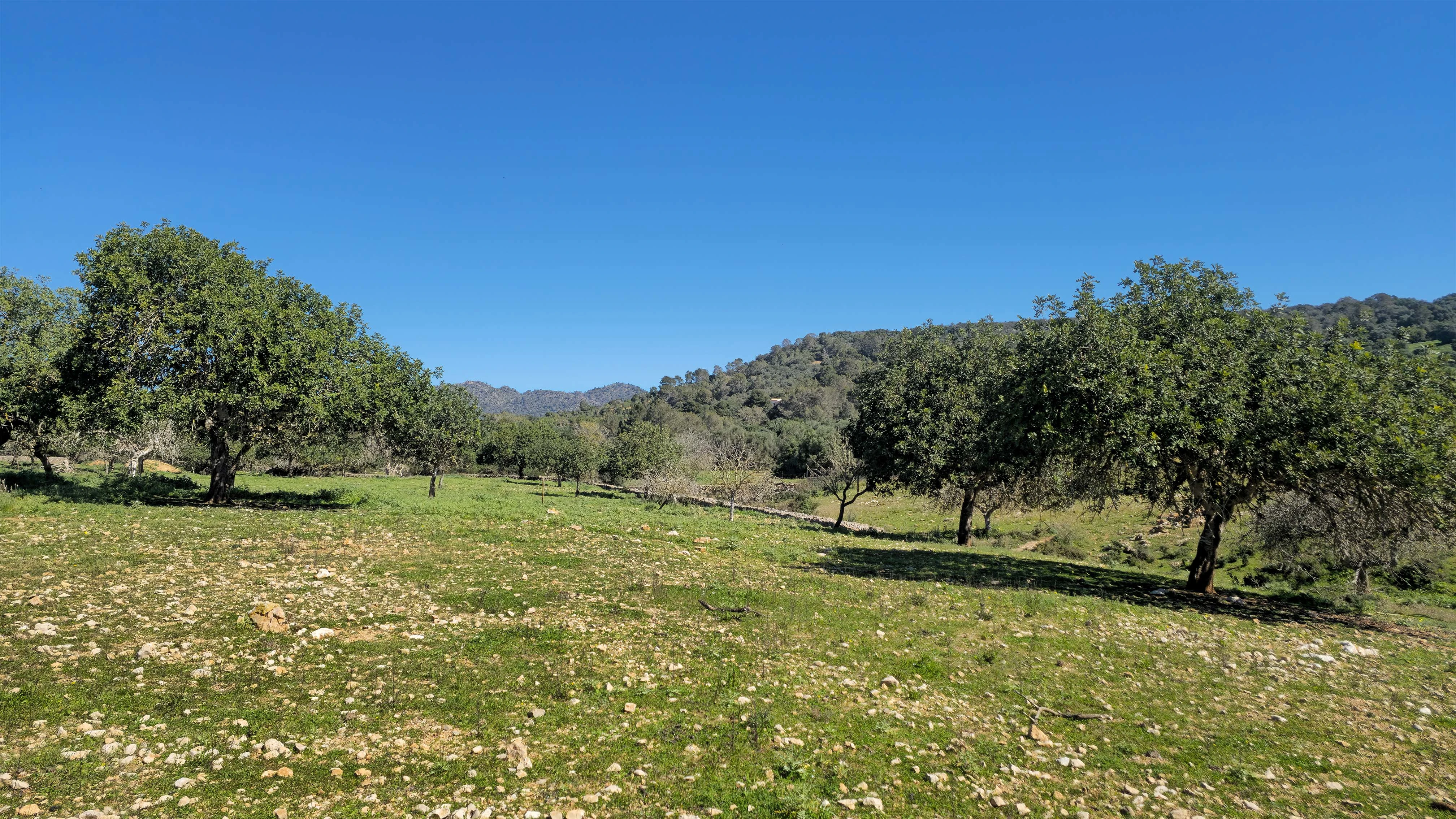 VILLA SON SONYAT - Detalle 23