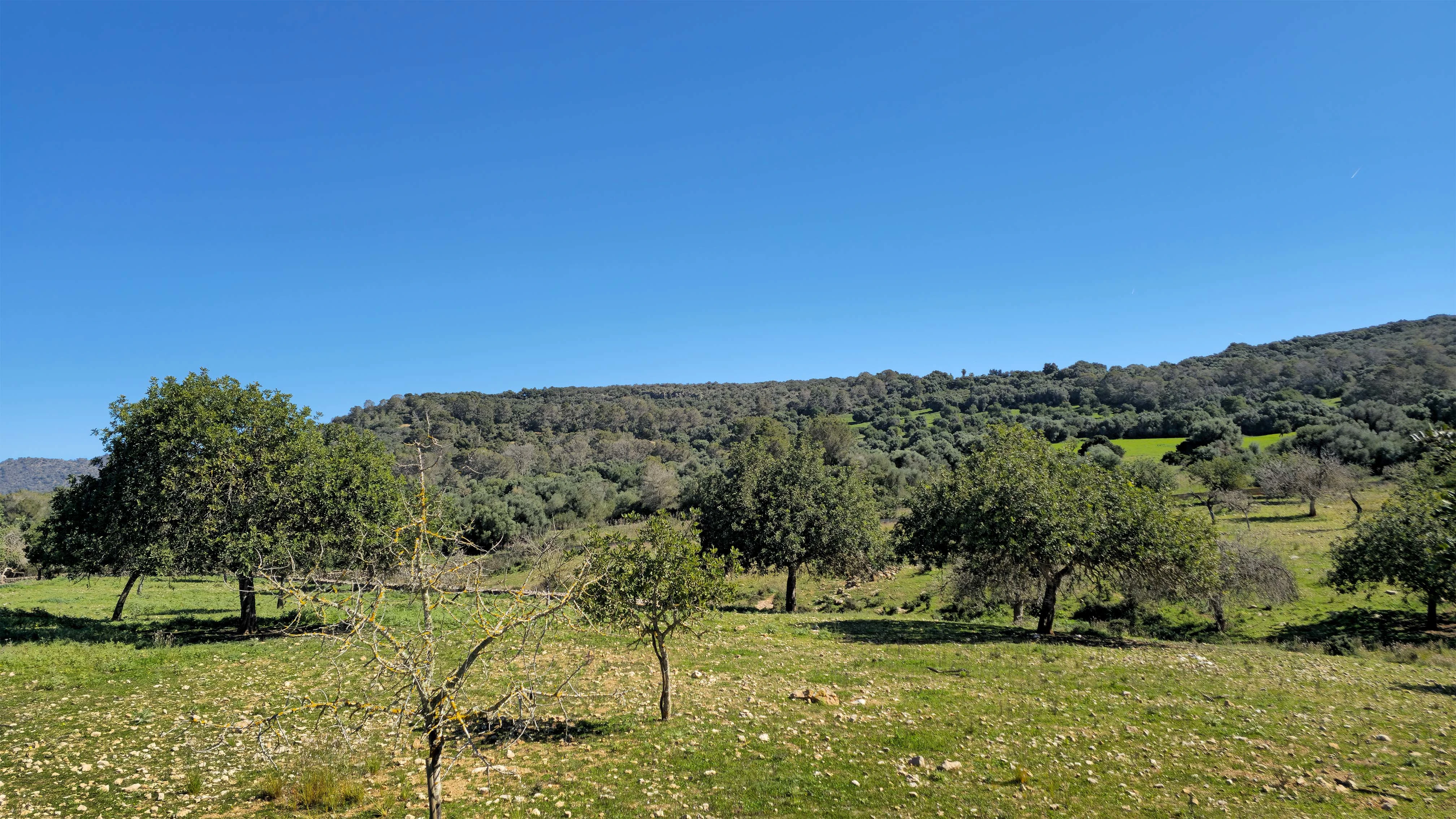 VILLA SON SONYAT - Detalle 25