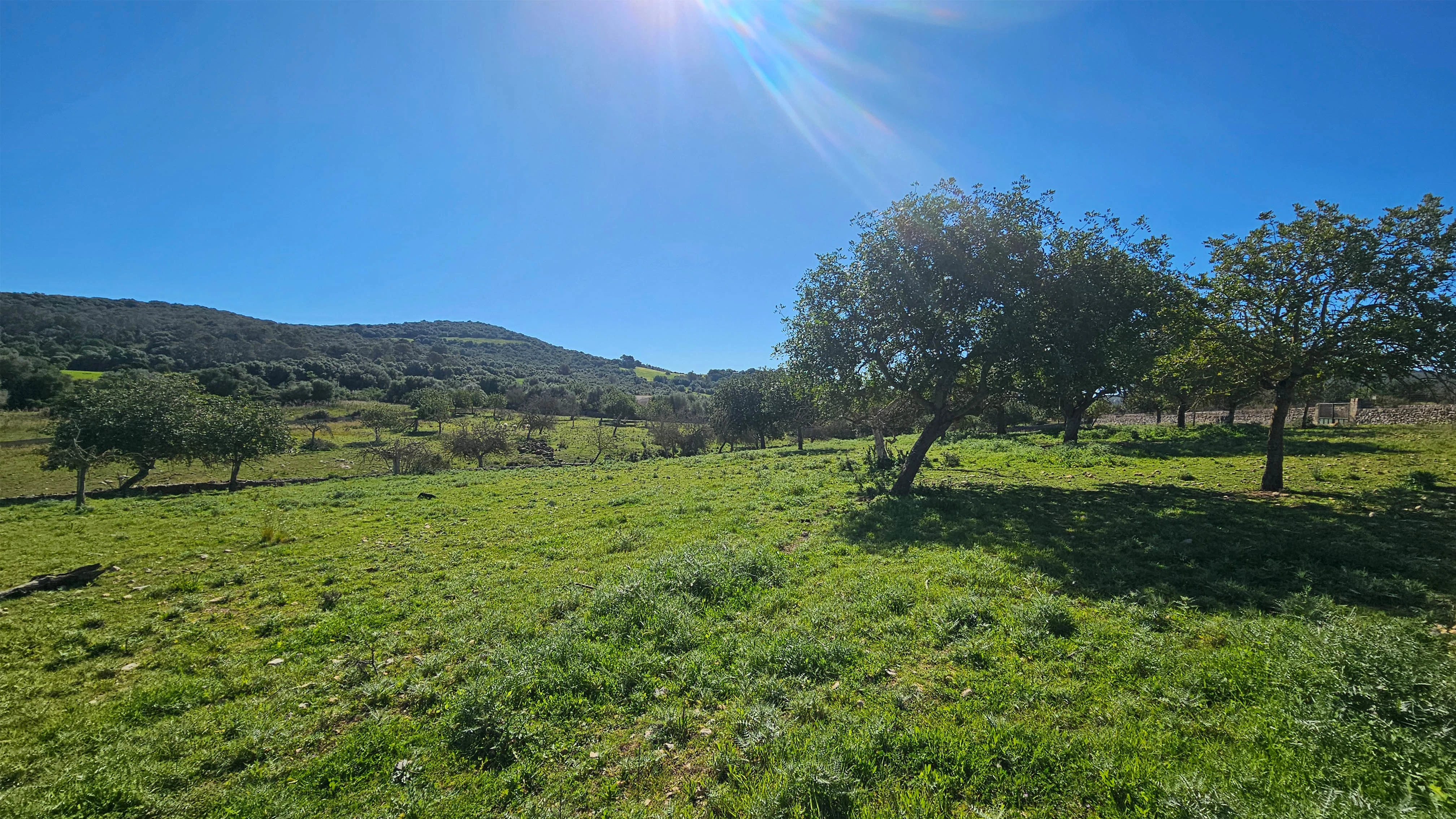 VILLA SON SONYAT - Detalle 26